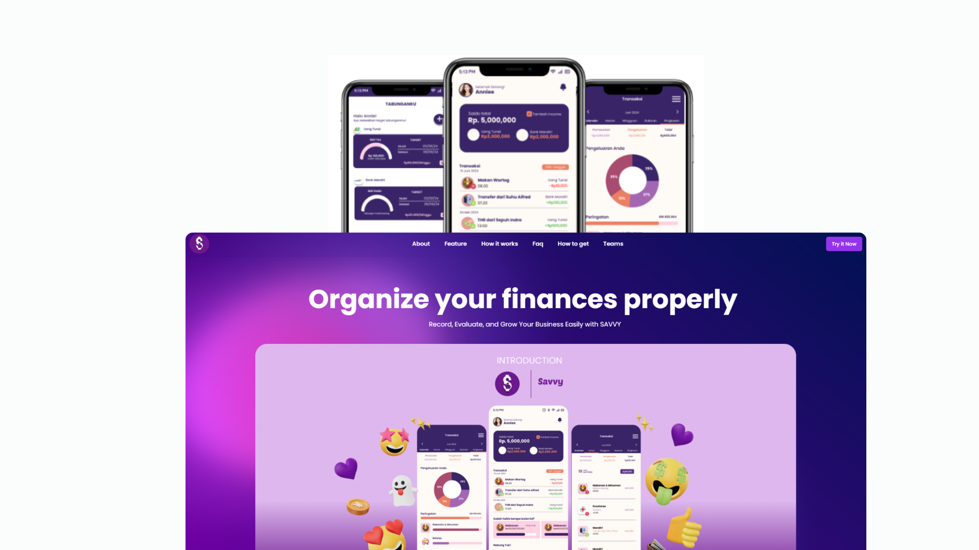 Financial Management Systems screenshot 1